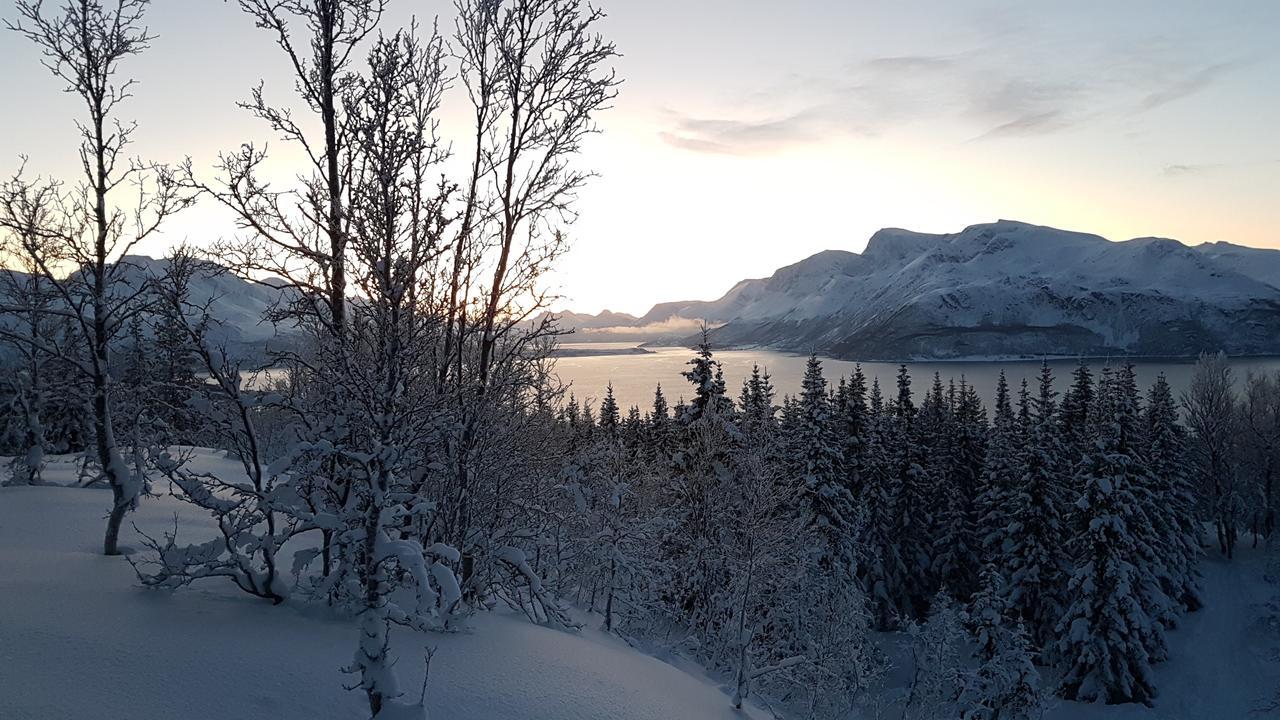 Slettvold Lyngen Villa Svensby Екстериор снимка
